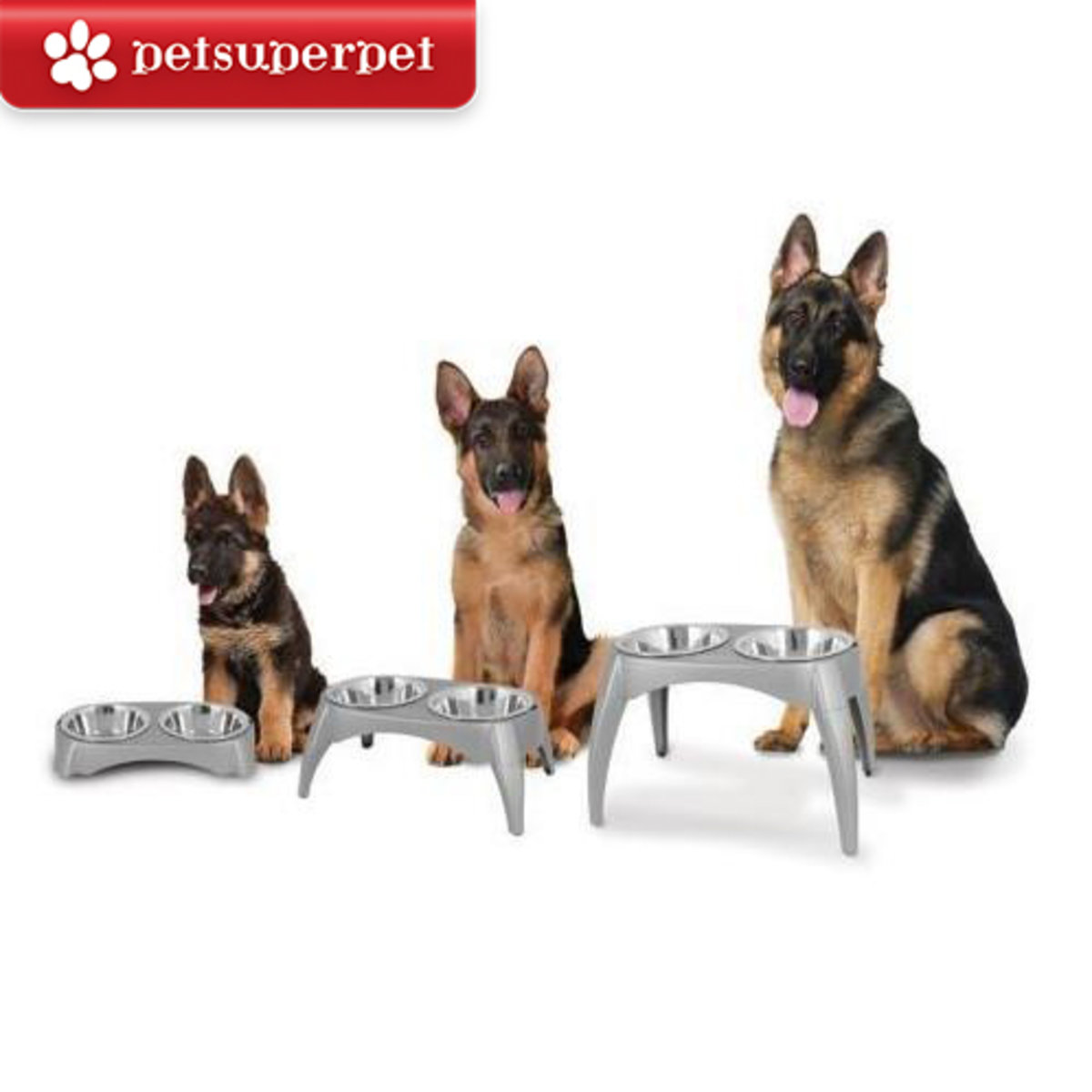 Alcott Aspen Pet Grow With Me Elevated Feeder Dog Bowls Dog