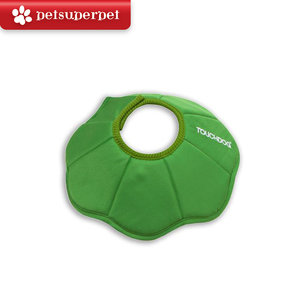 scratch proof cat collar