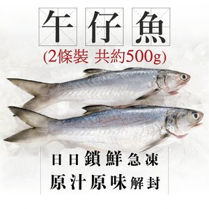 漁家 魚欄直送-台灣午仔魚(馬友魚) 兩條裝 約500g (急凍) 2條共約500g