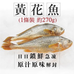 漁家 ［魚欄直送］深海黃花魚1條約270g+(已三清) (急凍) 每條約270g