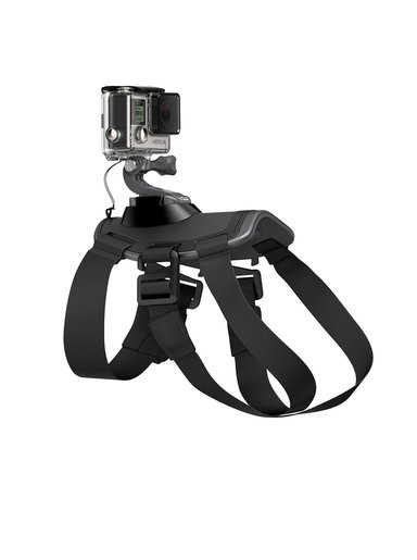 gopro fetch harness