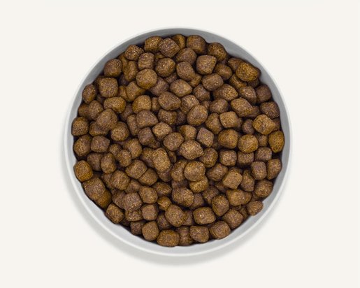 canagan dog food small breed