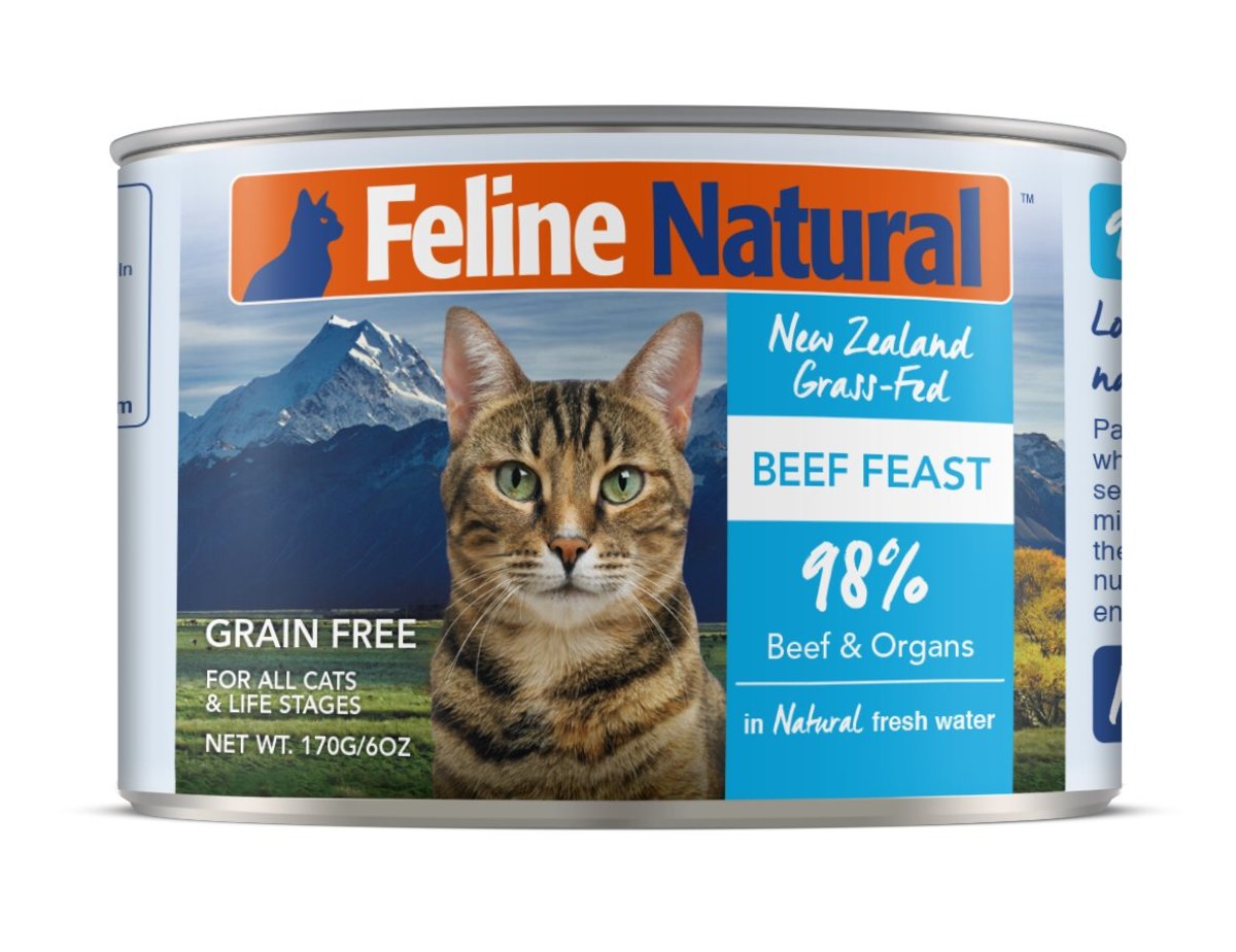 F9 Beef Feast (170g) Cat Can  518513 BBD: 07/2025