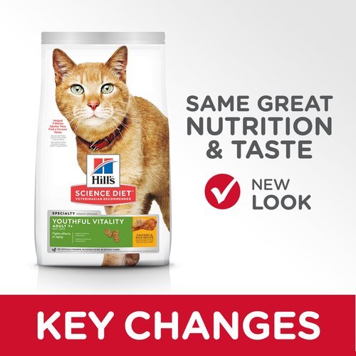 youthful vitality cat