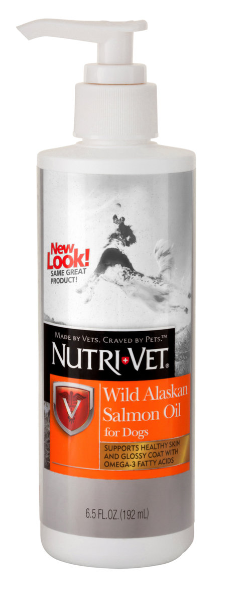 teeth chews for dogs