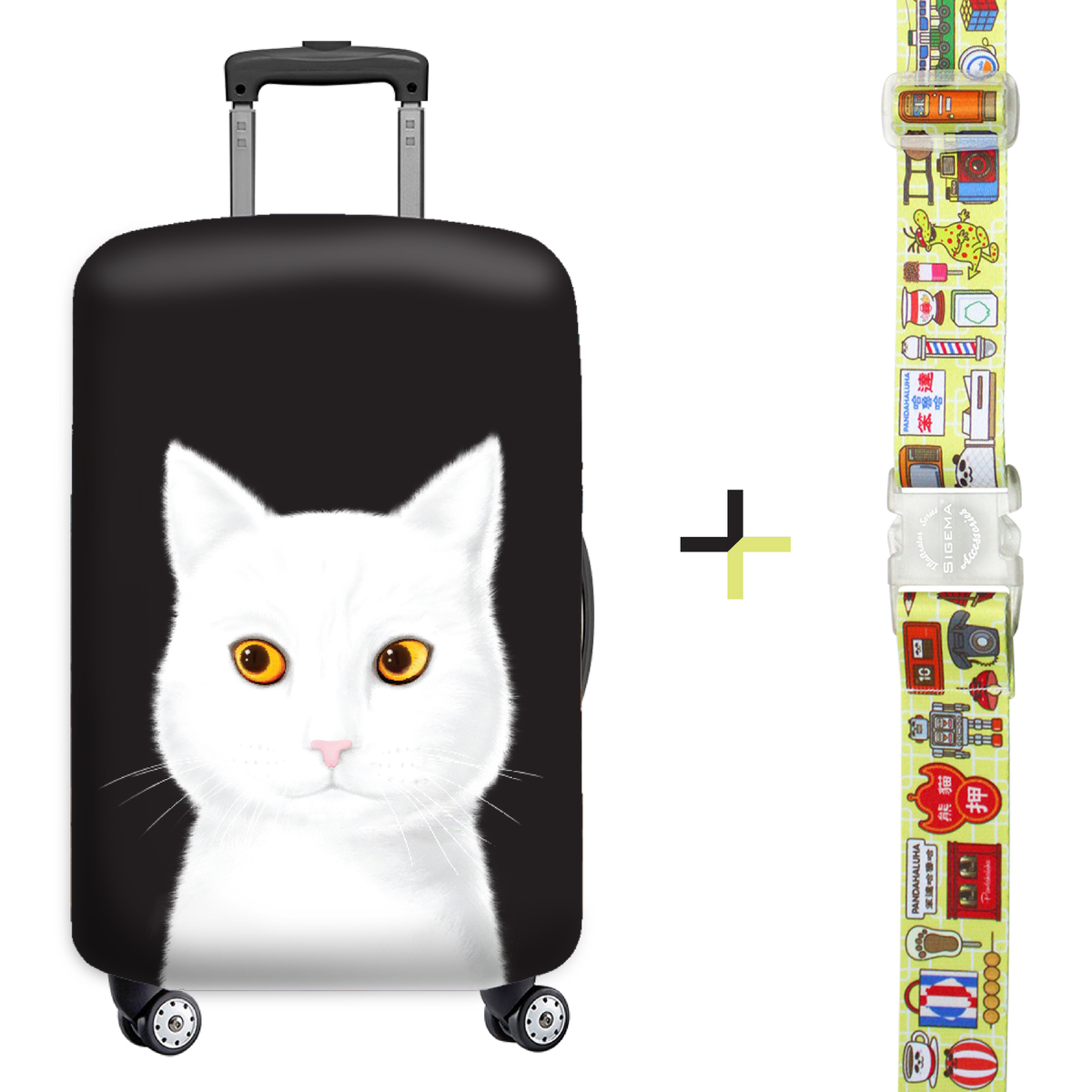 cat luggage set