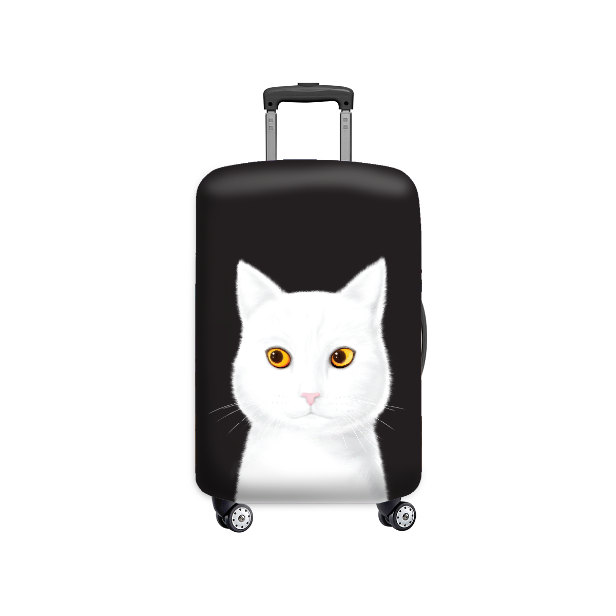 cat luggage set