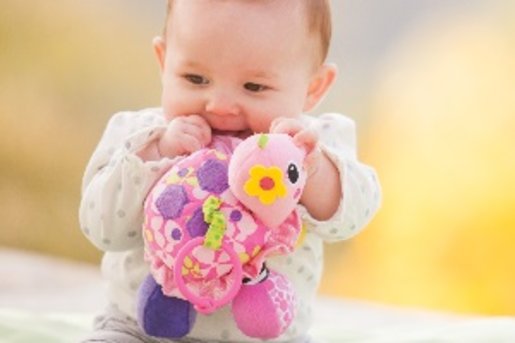 infantino mirror