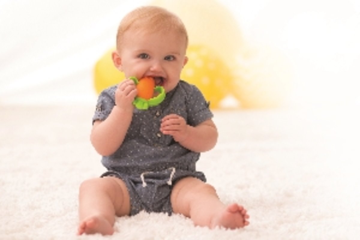 infantino carrot teether