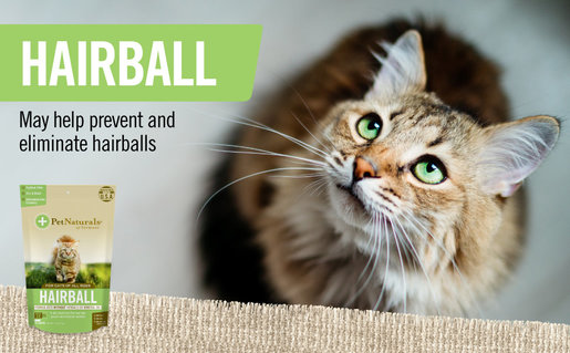 pet naturals of vermont hairball
