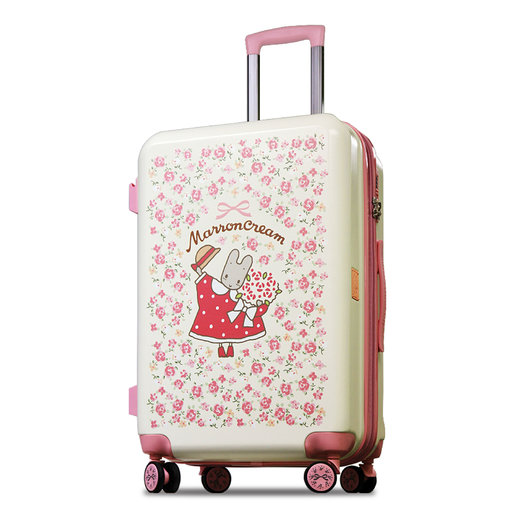20 luggage