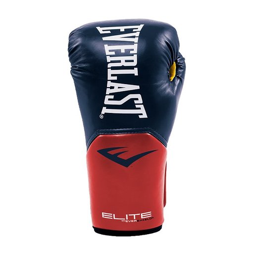 everlast elite punching bag