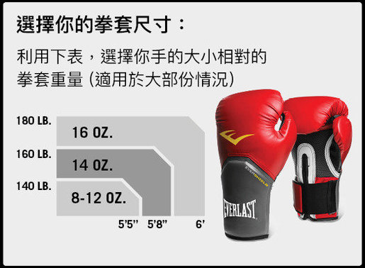 everlast prime leather training gloves