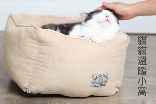 cat dog bed