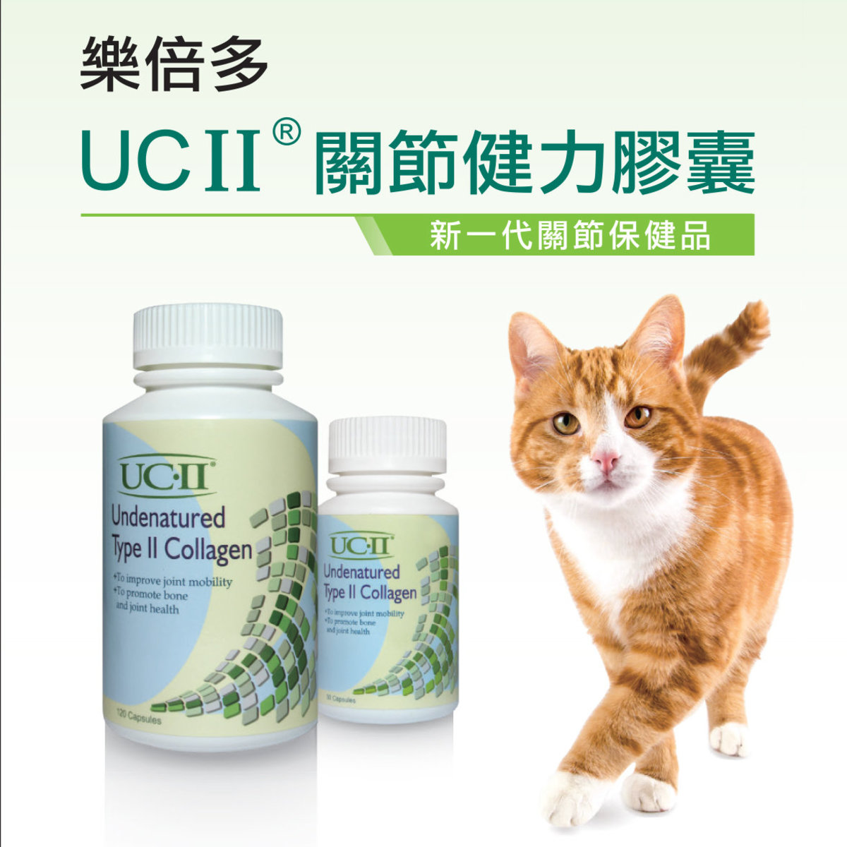 UC-II®寵物關節健力膠囊 30粒 <髖關節、膝關節、軟骨健康> (003007) #12