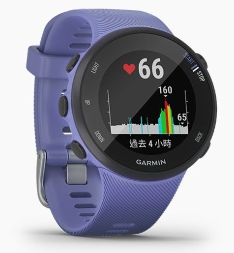 garmin forerunner 45 e 45s