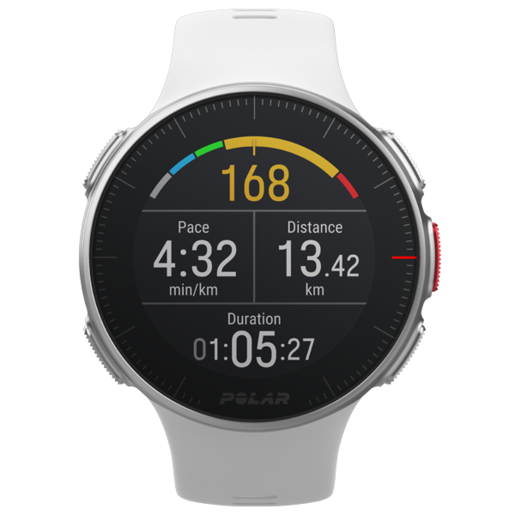 polar vantage v triathlon