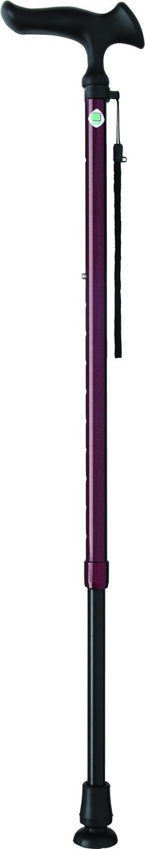 WB3738 吸盤型底塞枴杖(啡)  | 日本SG認證