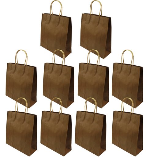Brown Kraft Paper Gift Small Eco-Bag 