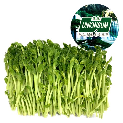 集森 溫室豆苗 8兩 2包約300克 Hktvmall 香港領先網購平台