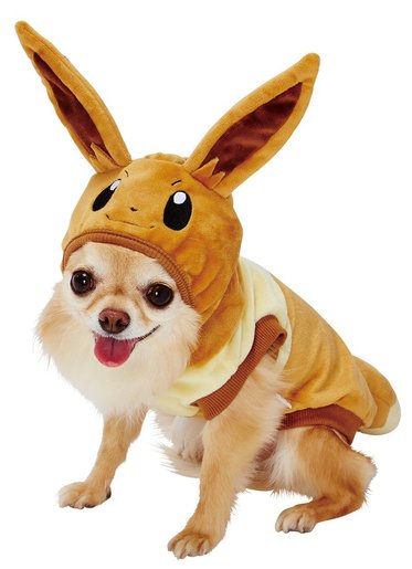 dog eevee costume
