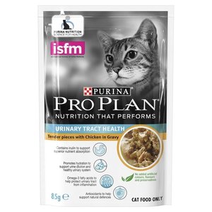 royal canin ragdoll 10kg