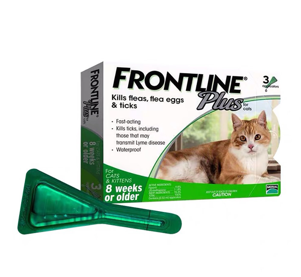 frontline for kittens under 8 weeks