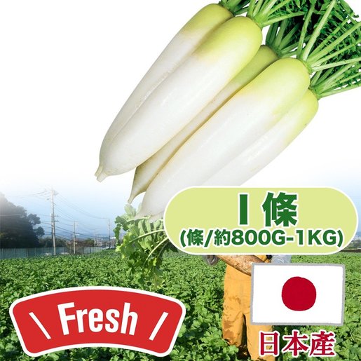 Deluxe Farm 日本大根 約800g 1kg 日本蘿蔔 Hktvmall 香港領先網購平台