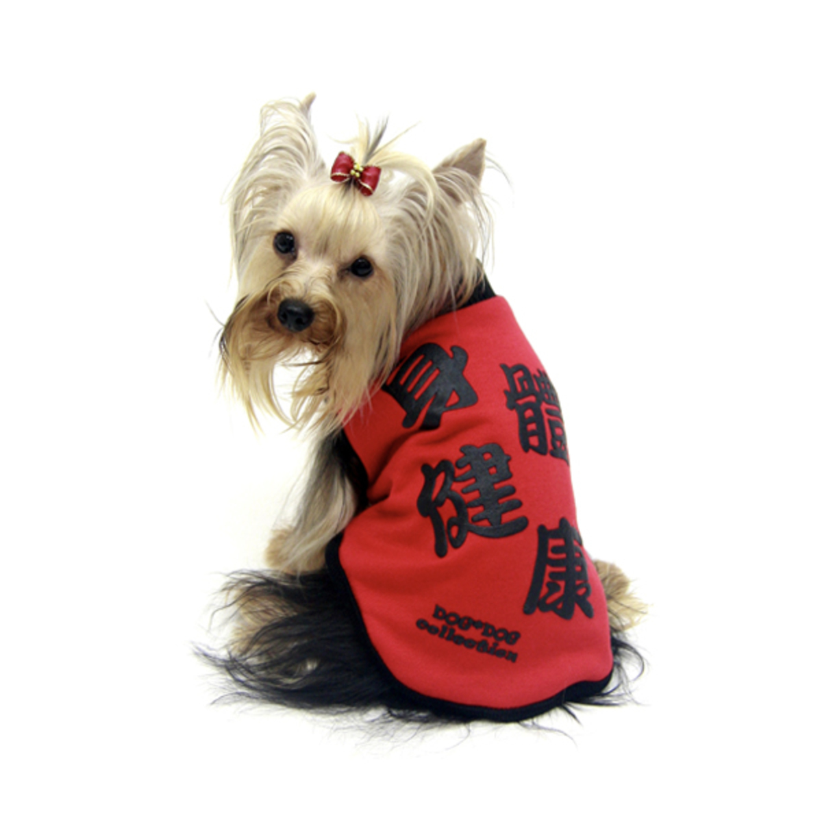 身體健康 雙面賀年衫 狗仔衫