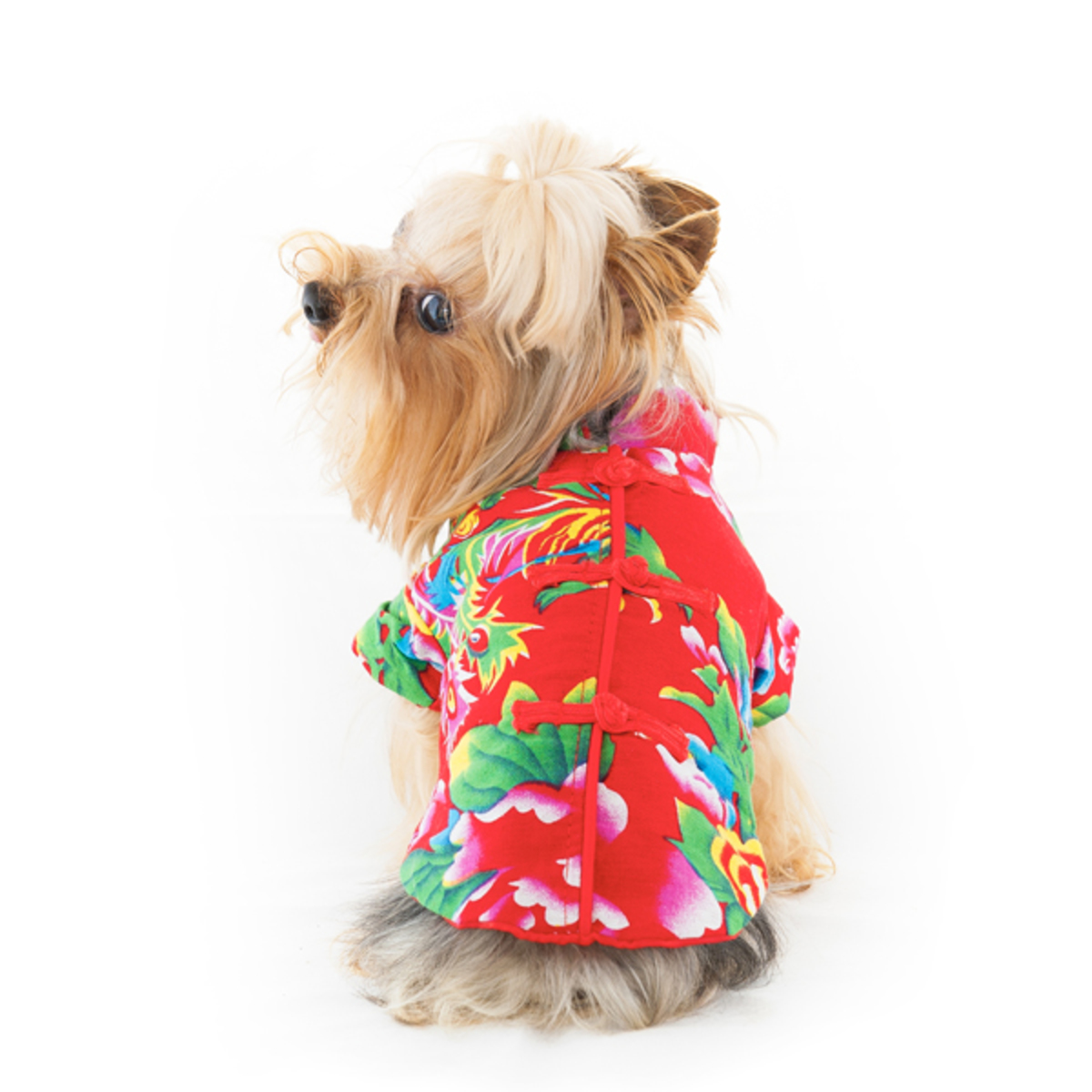 James Jacket Chinese Style Dog Clothes