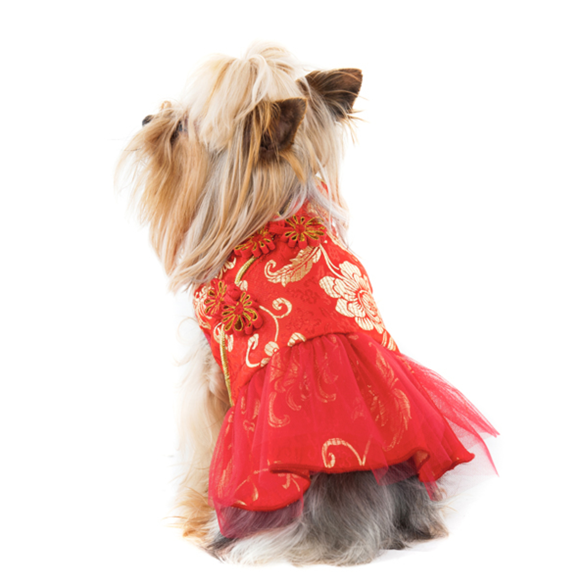 Eva Chinese Style Dog Dress