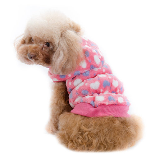 dog clothes online shopping