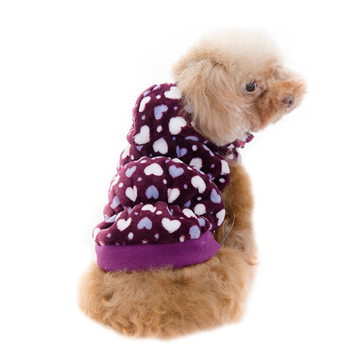 dog clothes online shopping