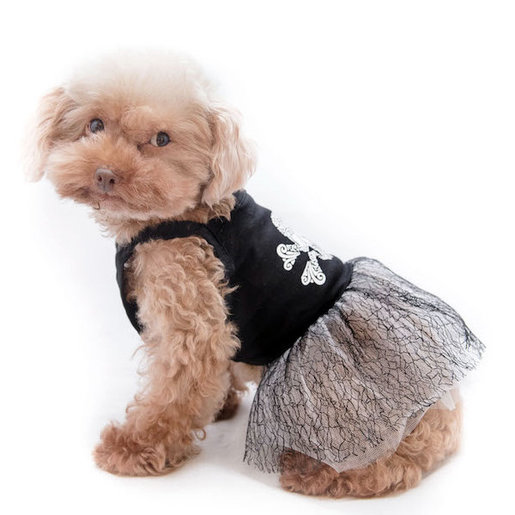 toy dog clothes