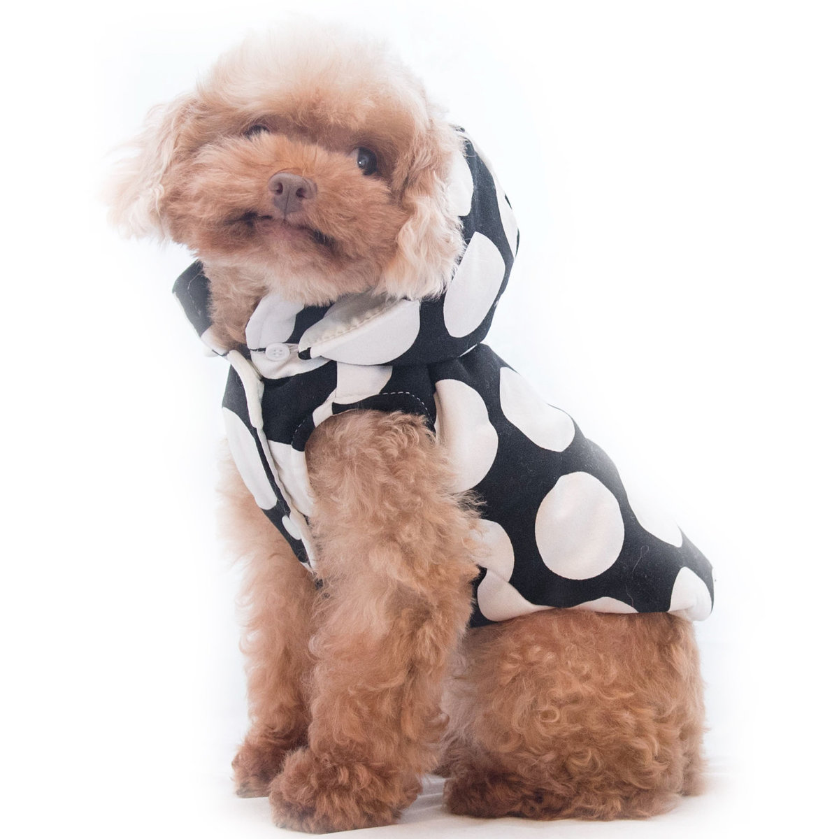 Dog Dog Collection | Olga Detachable Hooded Vest Pet Apparel | : XXS | HKTVmall The Largest HK Shopping Platform