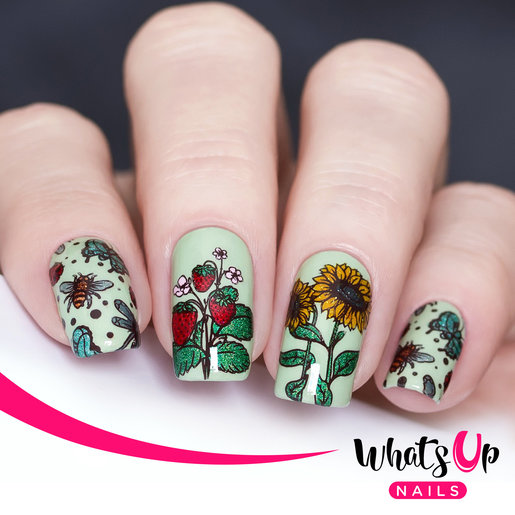 Whats Up Nails | B061 Summer in the Countryside Stamping Plate | HKTVmall  The Largest HK Shopping Platform