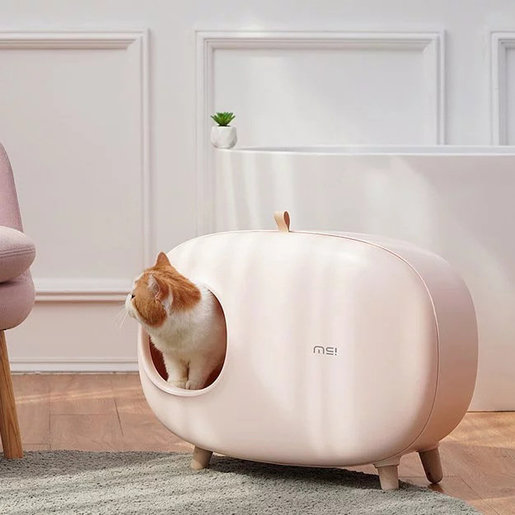 make sure litter box