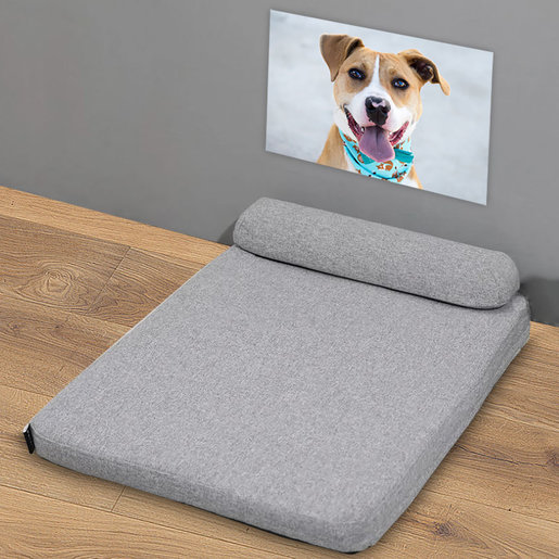 dog proof bed cover