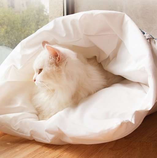 cat sleeping bag