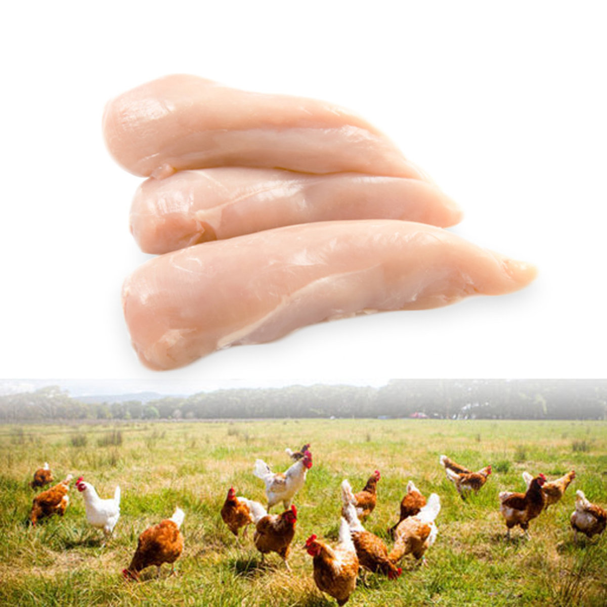 New Zealand Natural Free Range Chicken Tenderloins 400g(Frozen)