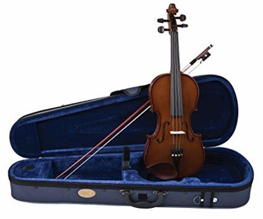 Vif violin 2024