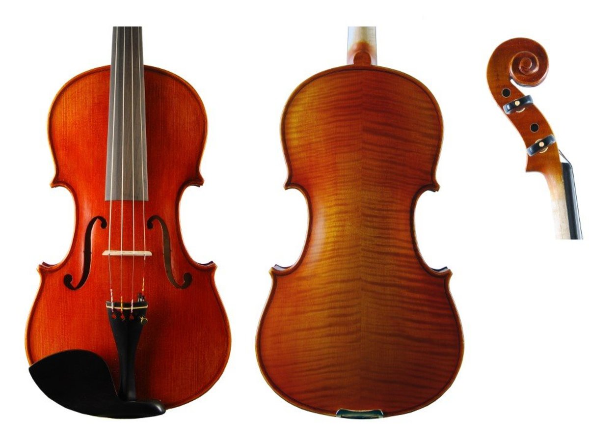 Vif BV3000 4/4 Violin