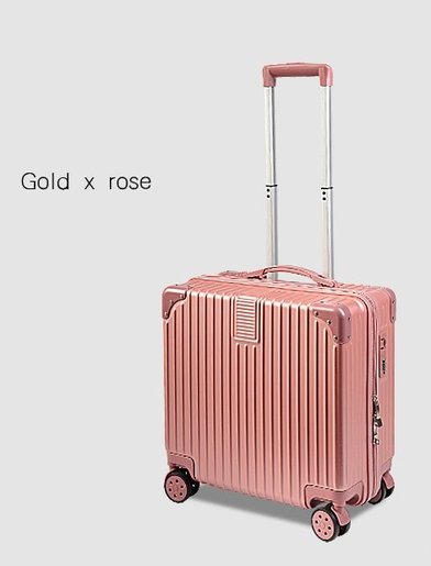 pink bee suitcase