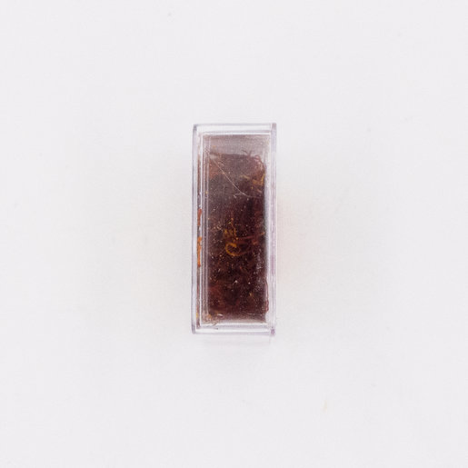 犀牛牌 西班牙極品藏紅花 西紅花 番紅花 單粒裝 Hktvmall 香港最大網購平台