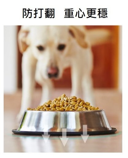 extra large dog food bowls