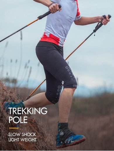 foldable hiking pole