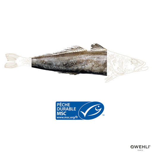 Qwehli 法國野生急凍小鱗犬牙南極魚230克 Hktvmall 香港最大網購平台