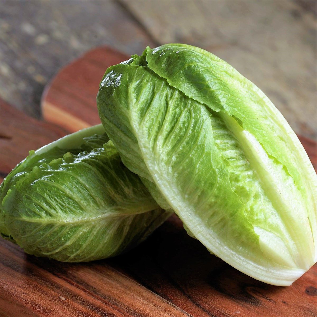 Mix n Fresh | 包心羅馬生菜(Artisan Romaine Lettuce) (共重850-1000G) | HKTVmall 香港最大網購平台