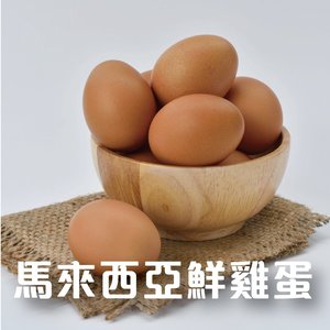 Soupermama (馬來西亞)鮮雞蛋 (20隻裝) ***新包裝