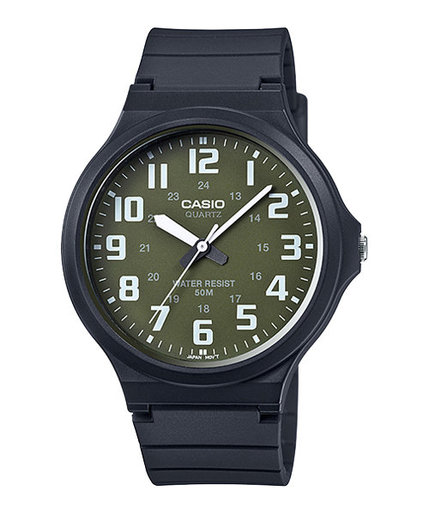 casio 240